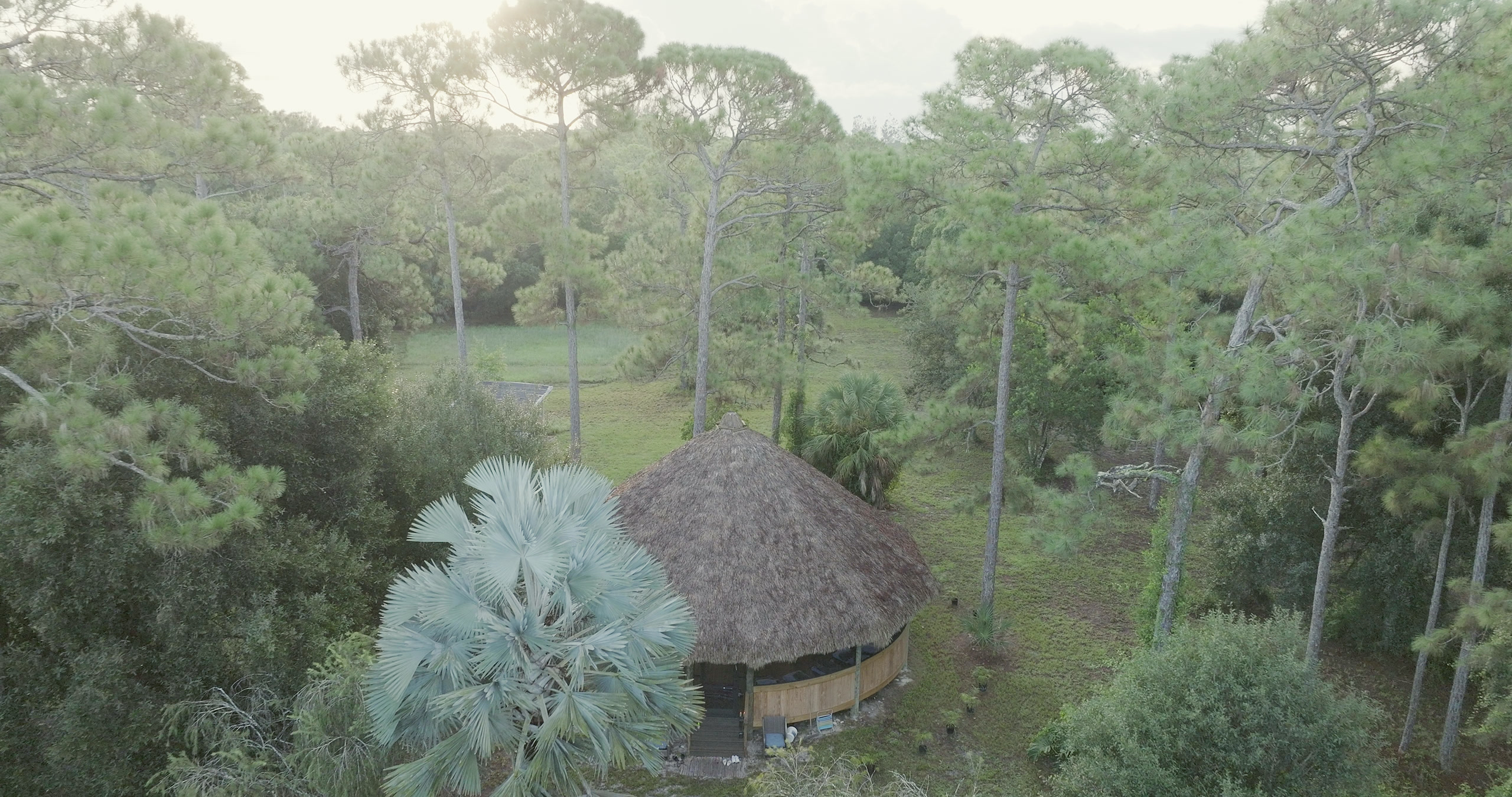 The maloca seen from above in warm early light, ringed by pine woodland.